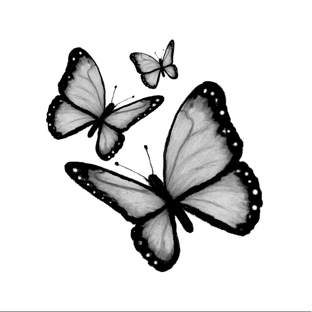 🦋Hai!🦋